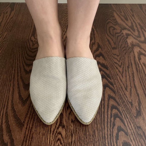 Report mules - Picture 6 of 8